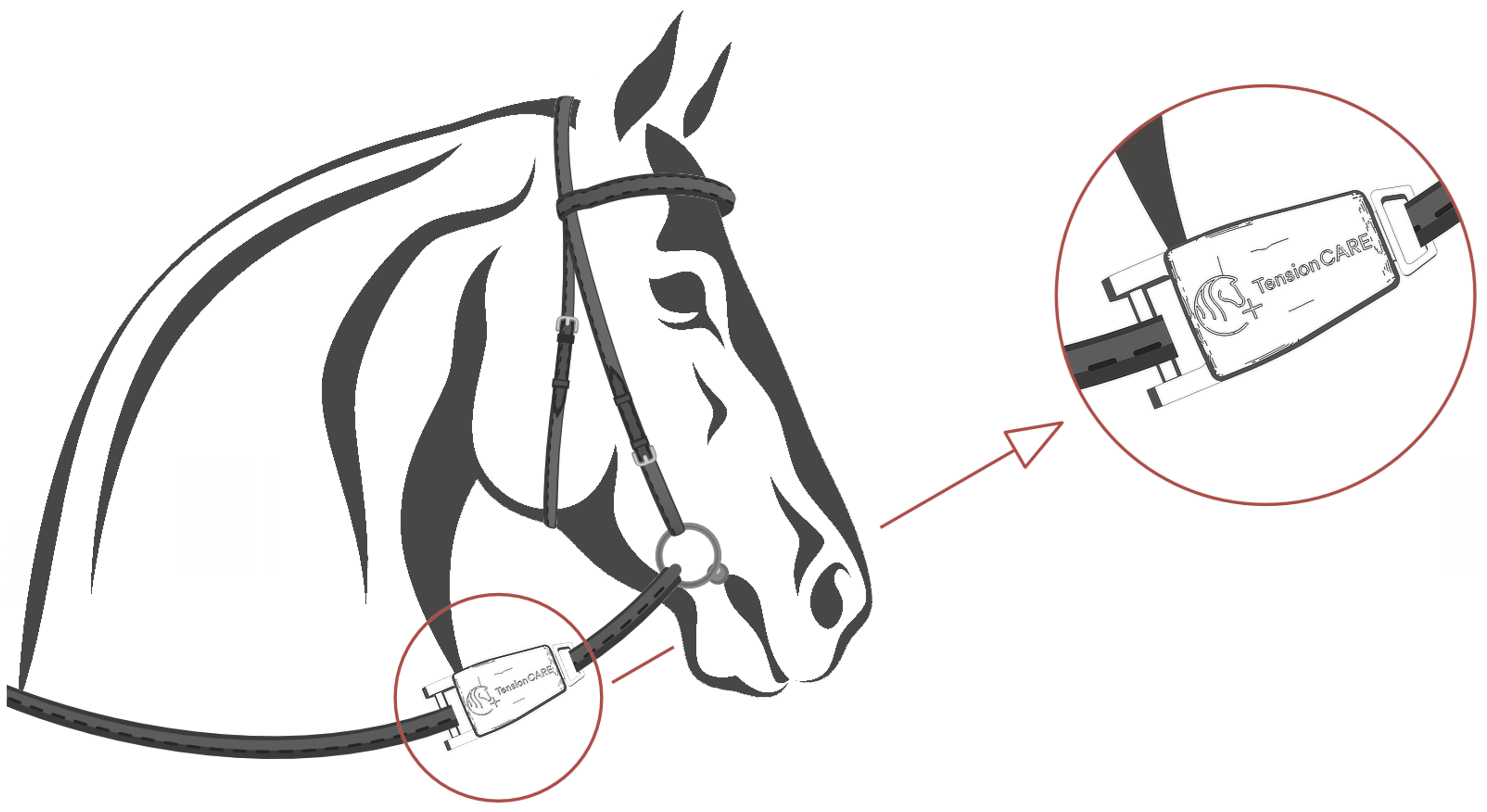 Bildschirmfoto 2024-10-18 um 09.11.52.png